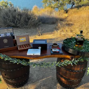 Mobile Bartending Services