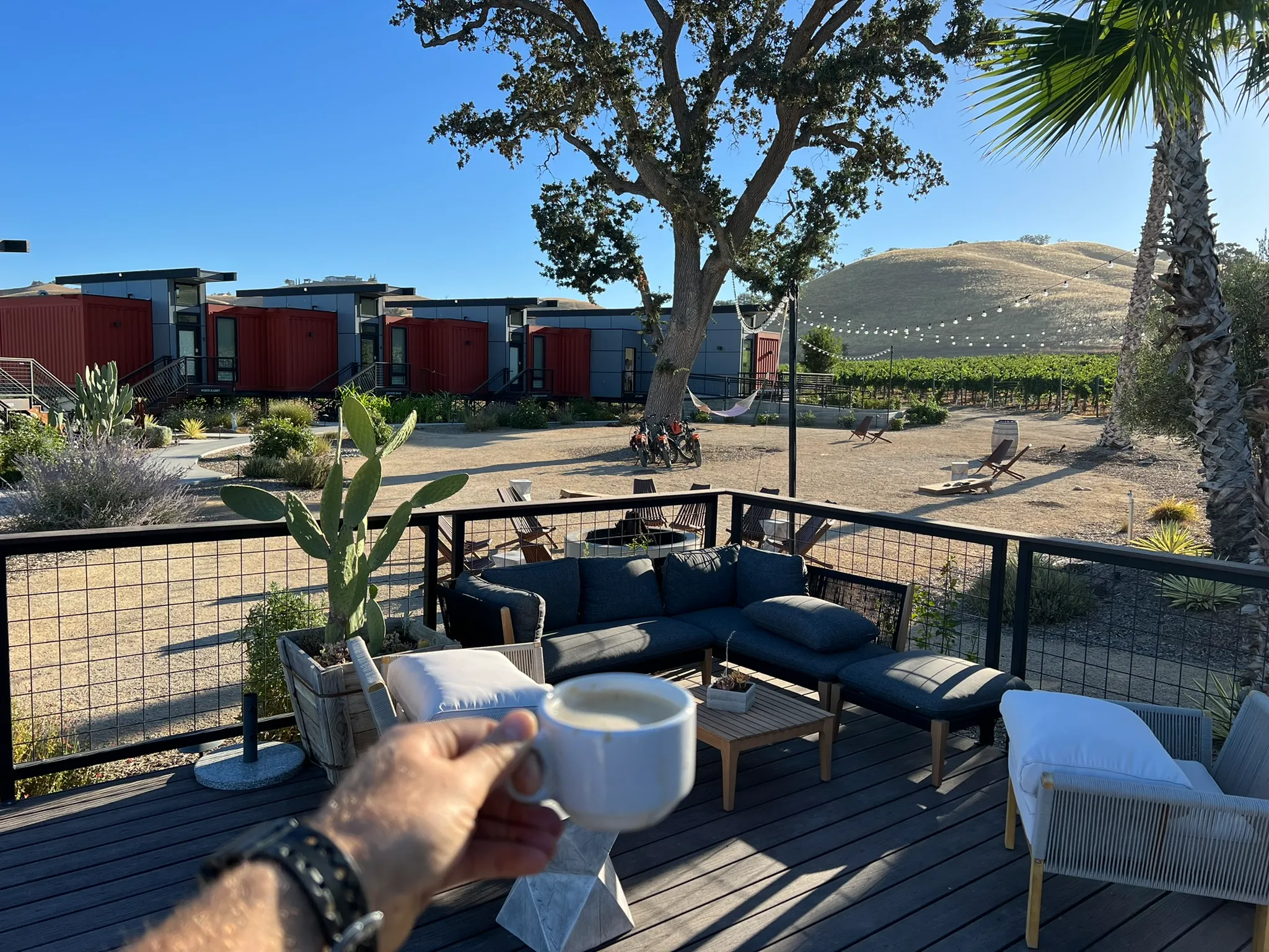 Eberle Winery vineyard wedding venue in Paso Robles California