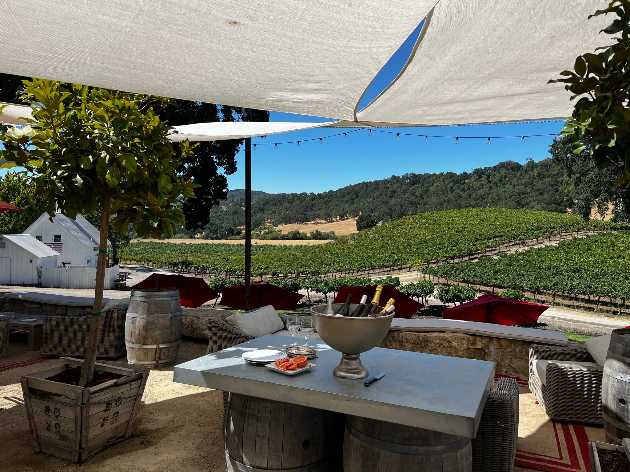 Hidden Hollow Farm private wedding venue in Paso Robles